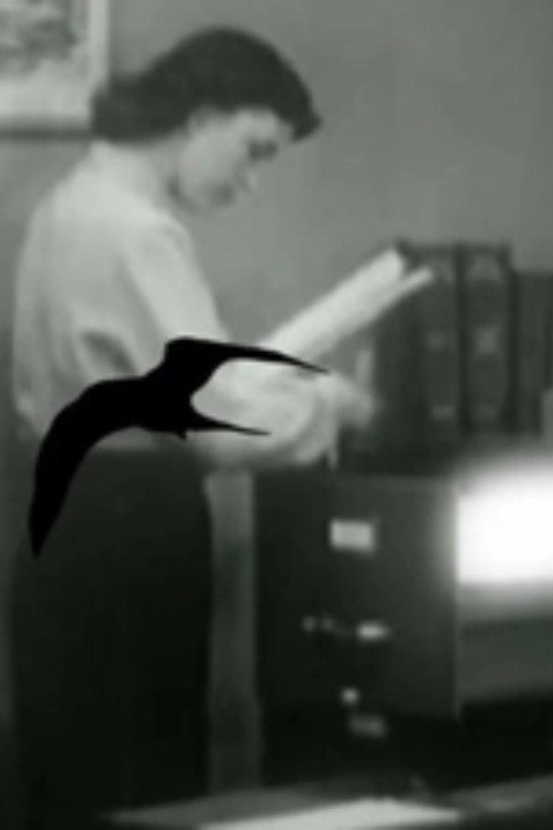 wandering through secret storms