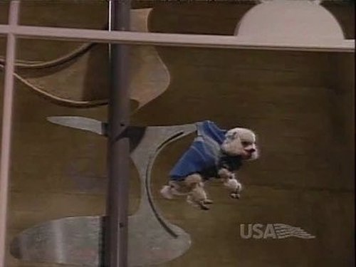 Coach, S02E20 - (1990)