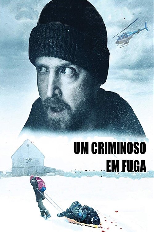 Image Um Criminoso em Fuga