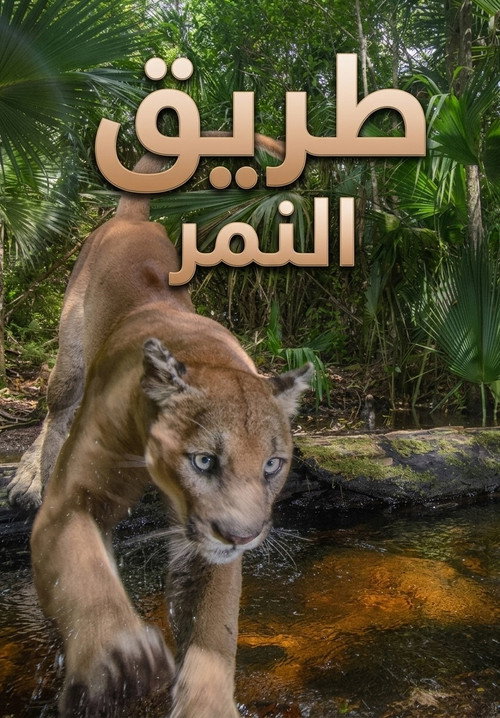طريق النمر