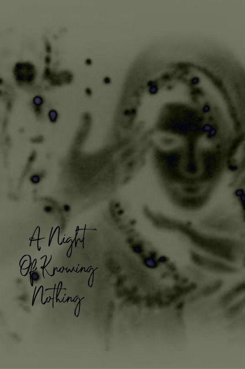 A Night of Knowing Nothing poster