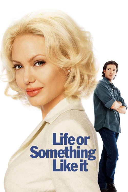 Life or Something Like It movie poster