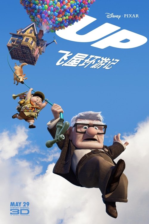 null 飞屋环游记 - Movie Banner