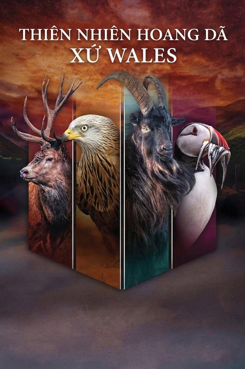 Thiên Nhiên Hoang Dã Xứ Wales