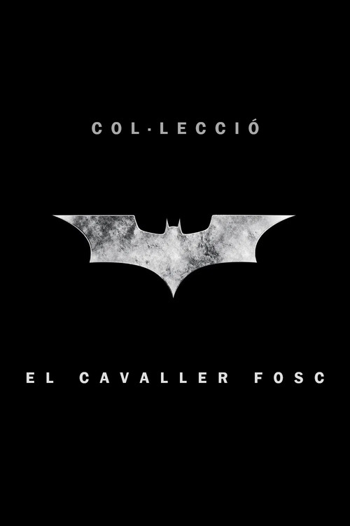 Pòster de El Cavaller Fosc - Col·lecció