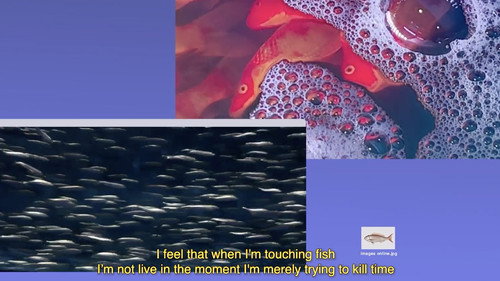 Touching Fish — Backdrops 1