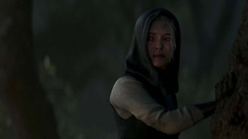 SJOR | Rise of the North