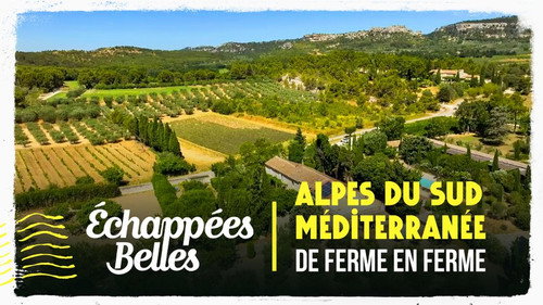 Image Alpes du Sud - Méditerranée, de ferme en ferme