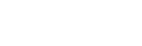 Will e Grace - Logo 3