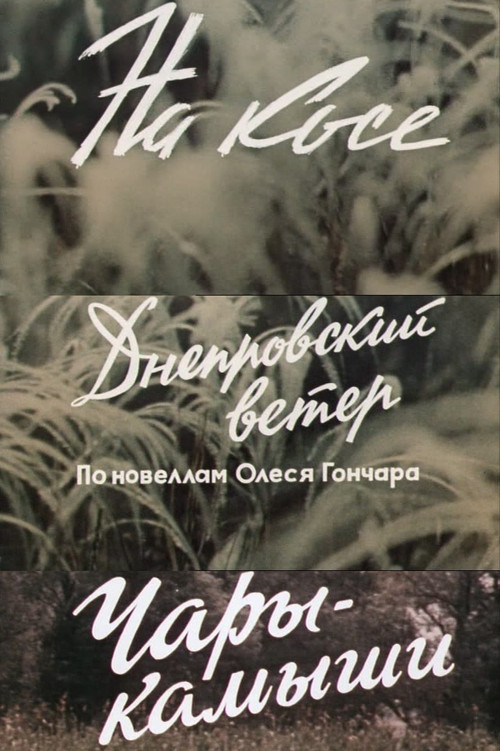 Pòster de Днепровский ветер