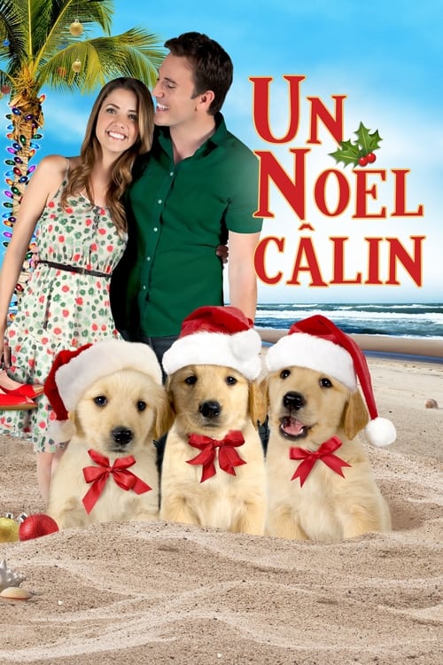 3 amis pour Noël (2011)