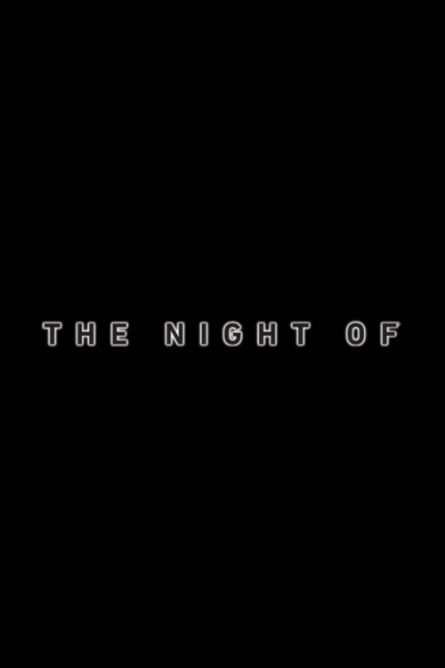 The Night Of - Die Wahrheit einer Nacht
