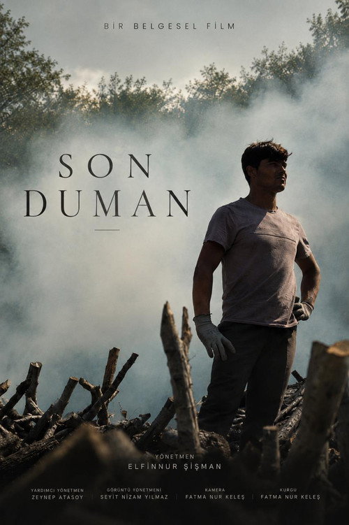 Son Duman poster