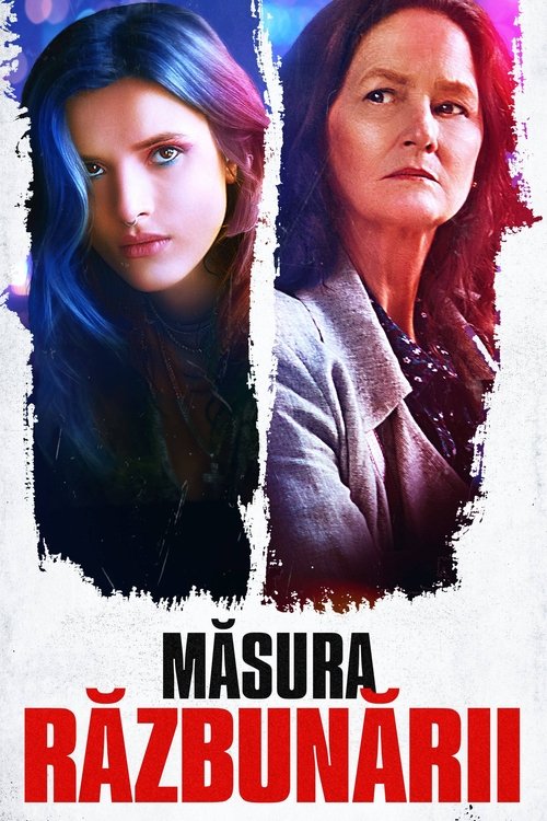 Poster pentru Măsura răzbunării