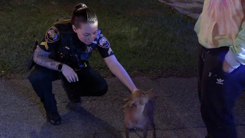 Out of Control Party