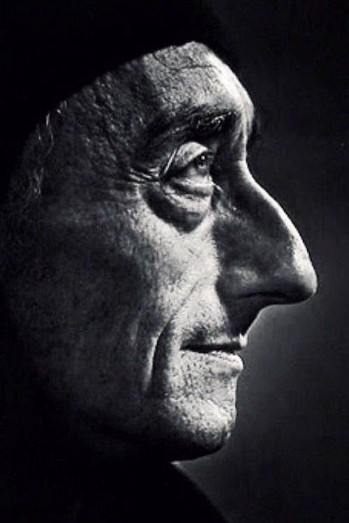 Jacques Cousteau's Vermächtnis - Rückkehr zu den Geheimnissen des Meeres movie poster player