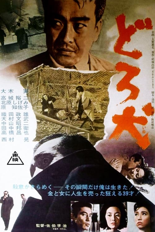 どろ犬 (1964) poster