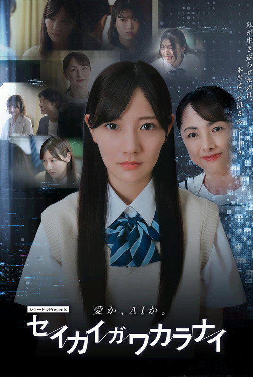 セイカイガワカラナイ poster