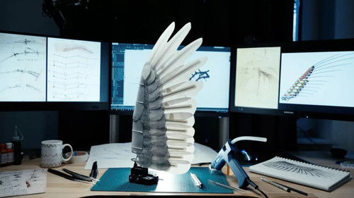 Le rêve de Léonard : Les secrets du vol dans la nature