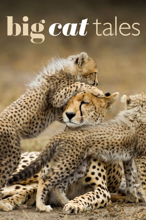 Big Cat Tales poster