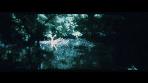 How to be a ghost in Bangkok?