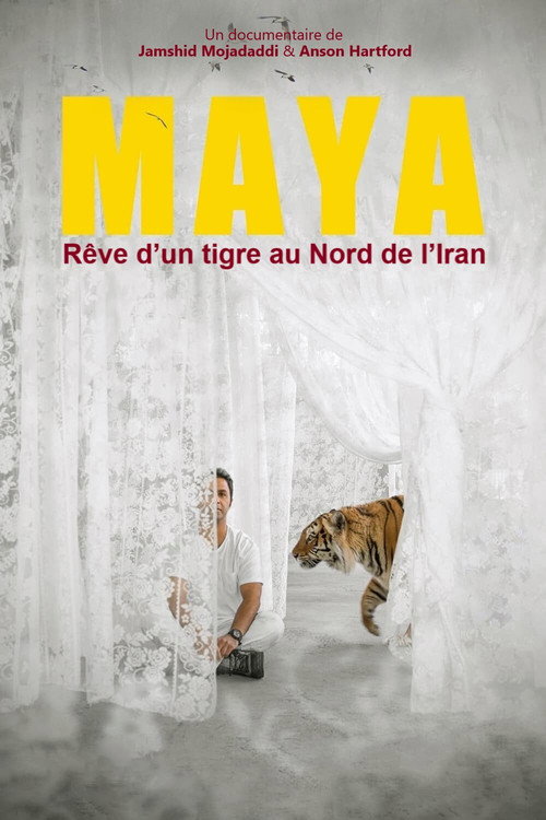 Rêve d’un tigre au Nord de l’Iran