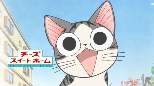 Chi's Sweet Home