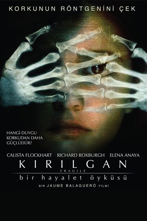 Fragile (2005)