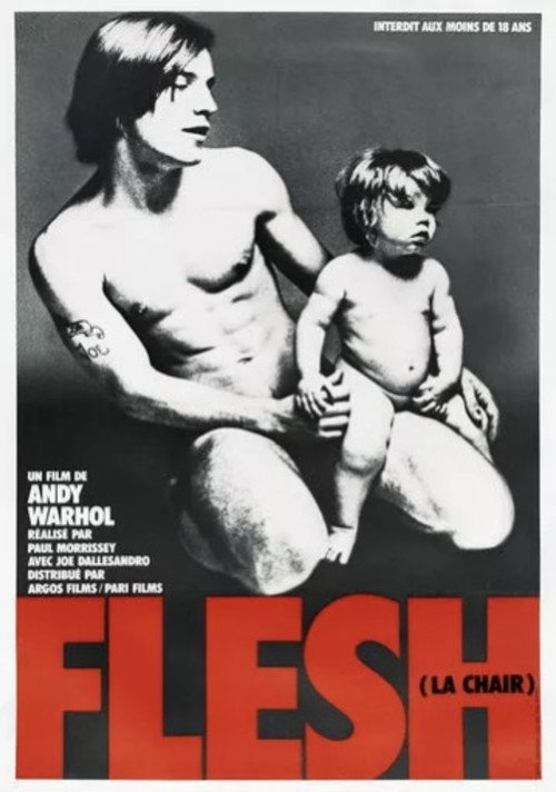 Affiche de Flesh