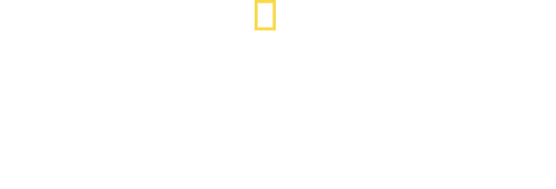 Ultimate Tutankhamun