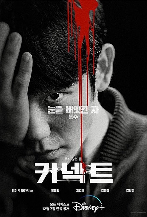 Poster (Koreanisch)