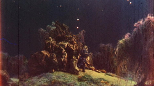 The Story of a Strange Friendship