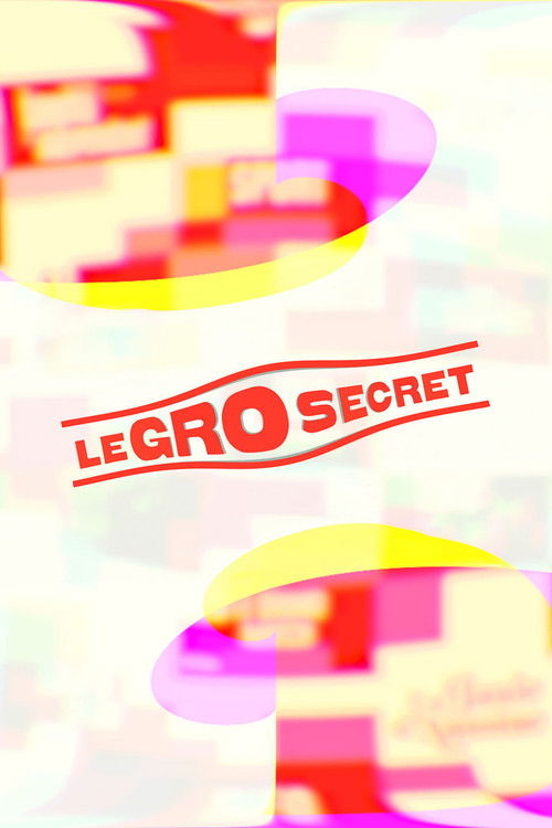 Le Gro Secret poster