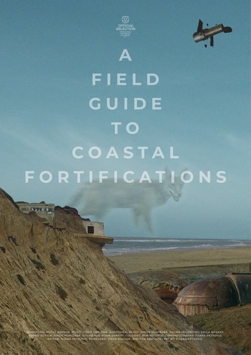 Watch A Field Guide to Coastal Fortifications Online HIGH quality definitons