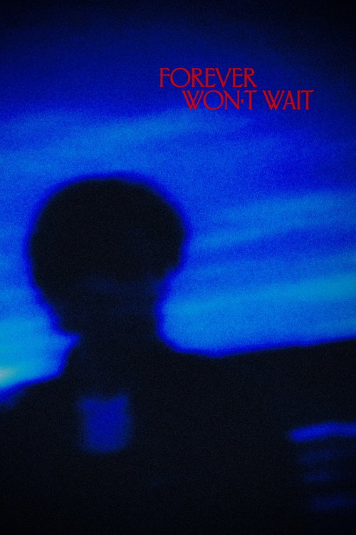 Forever Won't Wait poster