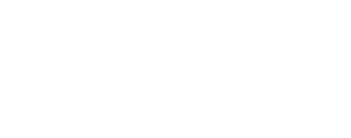 UFC 316: Dvalishvili vs. O'Malley 2