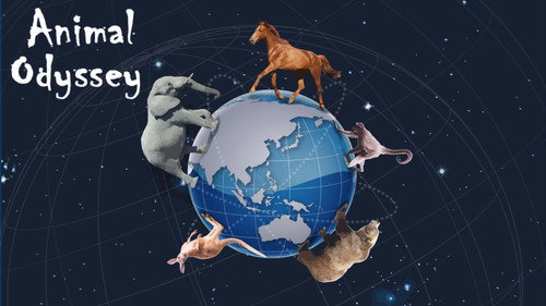 L’Odyssée des animaux