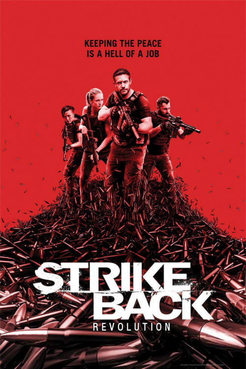 Where to stream Strike Back Season 7