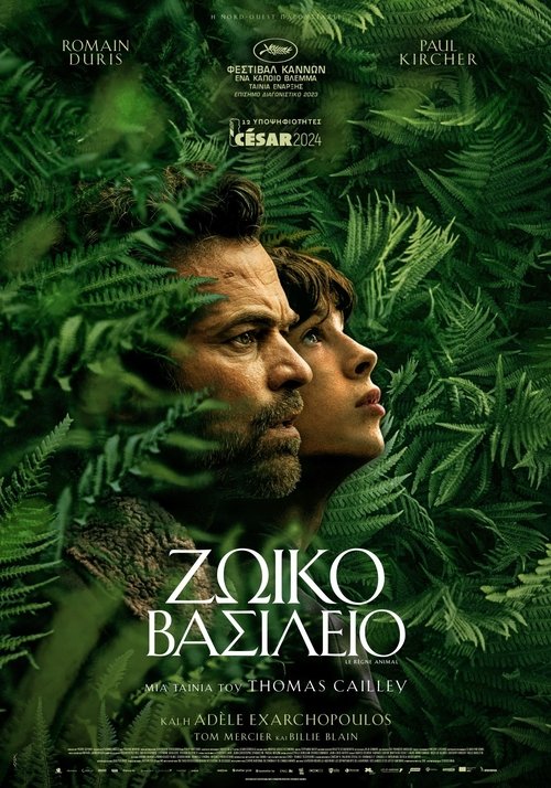 Posters