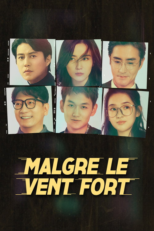 Affiche de 纵有疾风起