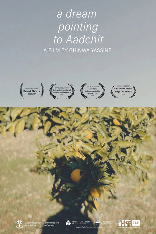 A Dream Pointing to Aadchit