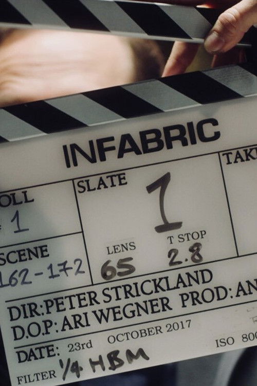 In Fabric Full Movie Streaming Online