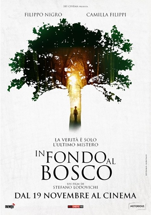 In fondo al bosco 2015