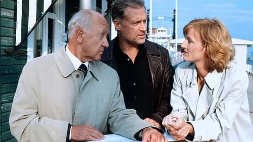 Tatort, S32E23 - (2001)