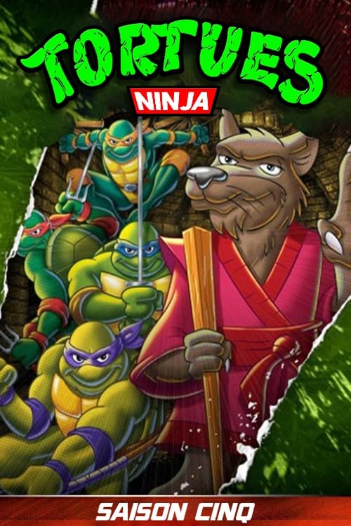 Les Tortues Ninja, S05 - (1991)