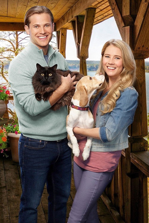 Official poster of Like Cats & Dogs (2017) - Komedi