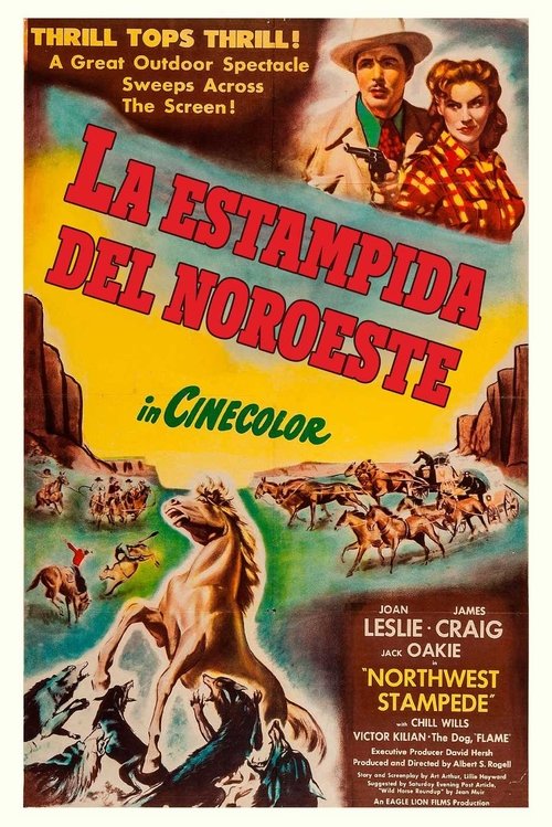la estampida del noroeste