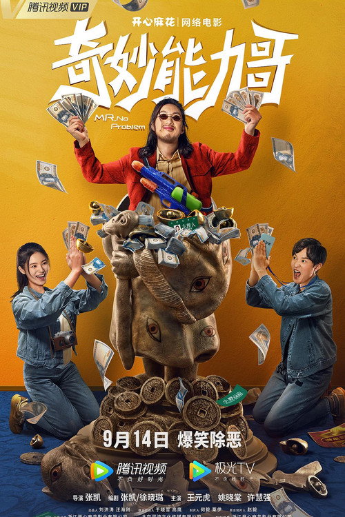Mr. No Problem poster
