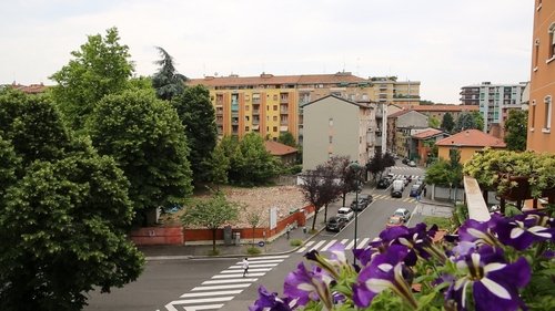 Manca Moro image 6