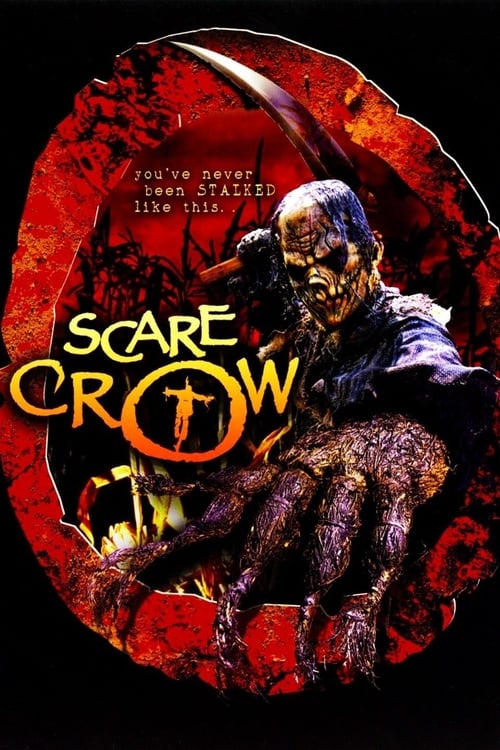 Grootschalige poster van Scarecrow